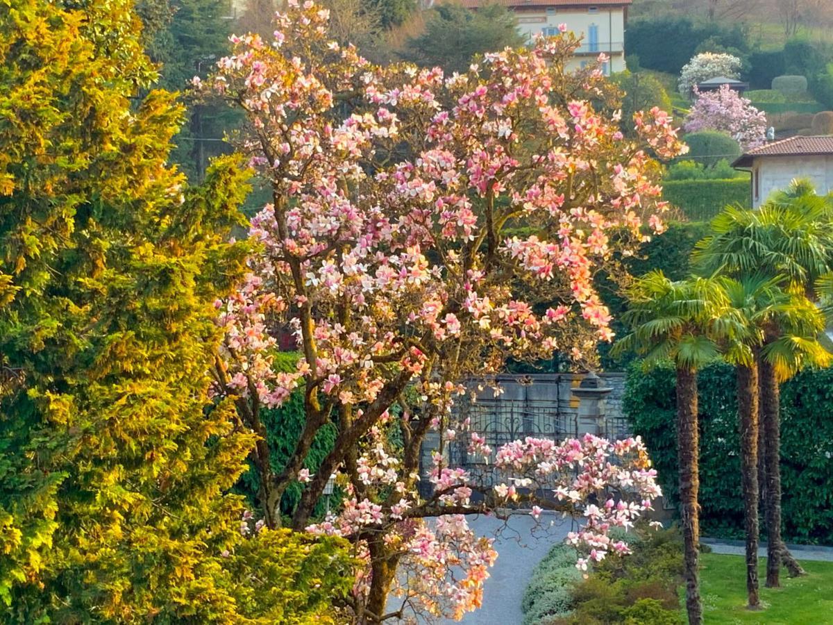 Villa Morosini Μπελάτζιο Εξωτερικό φωτογραφία